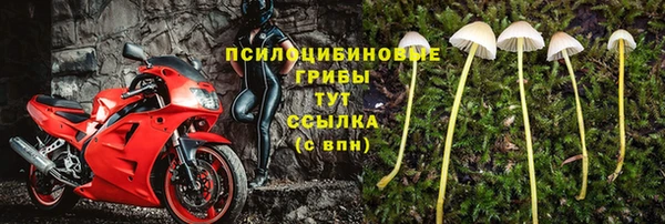 молекула духа Аркадак