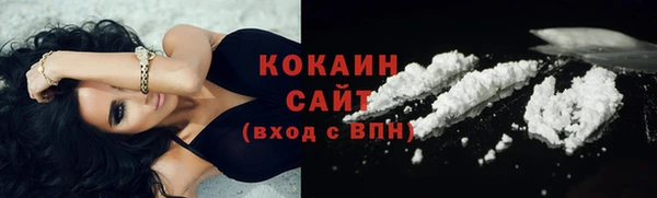 молекула духа Арсеньев