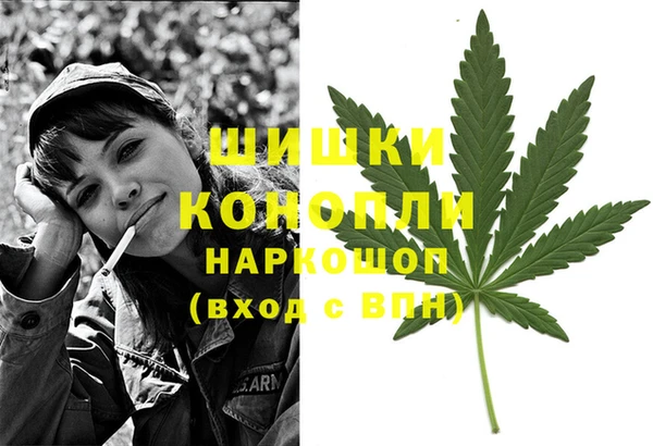 молекула духа Аркадак