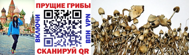 Галлюциногенные грибы MAGIC MUSHROOMS  продажа наркотиков  мега ССЫЛКА  Афипский 